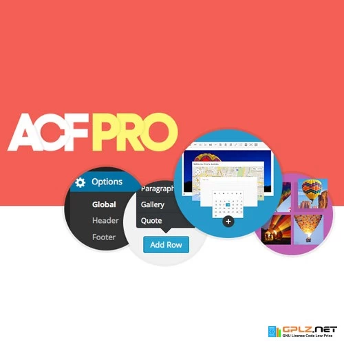 Advanced Custom Fields (ACF) Pro