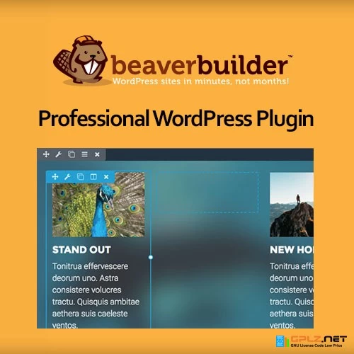 Beaver Builder Professional WordPress Plugin