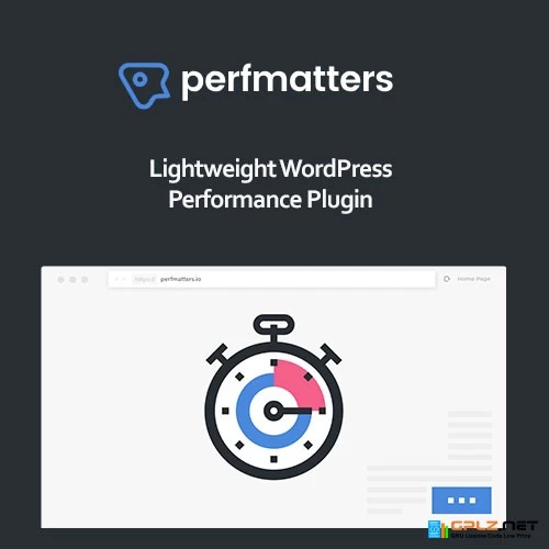 Perfmatters WordPress Plugin