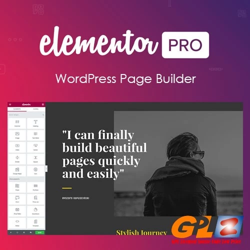 Elementor PRO WordPress Page Builder + Pro Templates